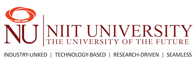 Niit University